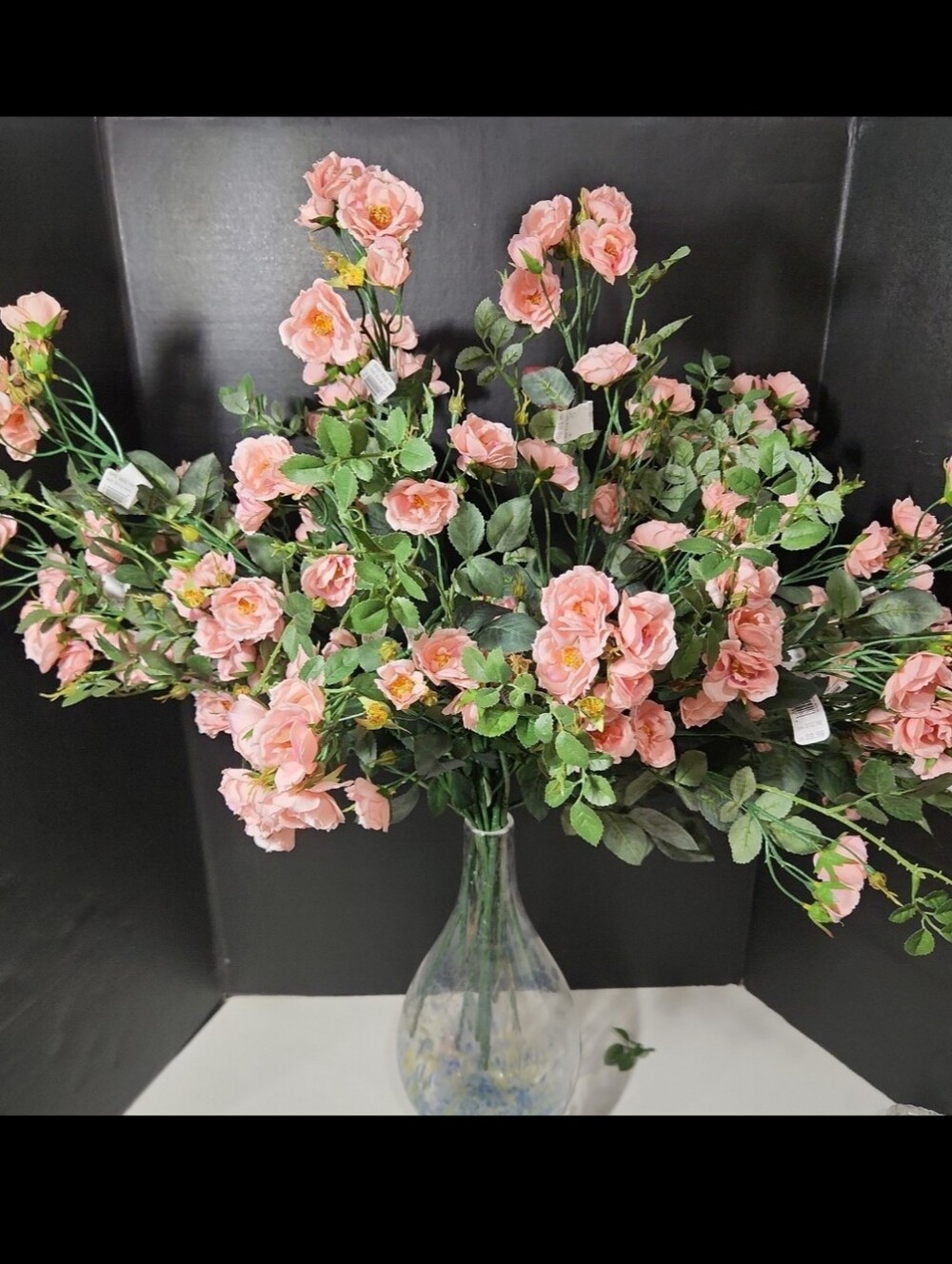 Ashland Kate Roses